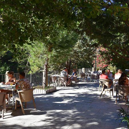 Les Jardins De La Glaciere Corte  Exterior photo